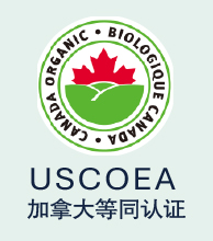 加拿大等同认证